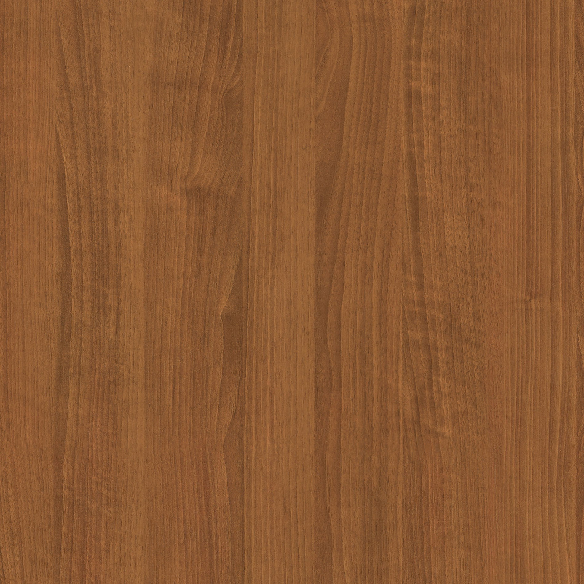 Teak